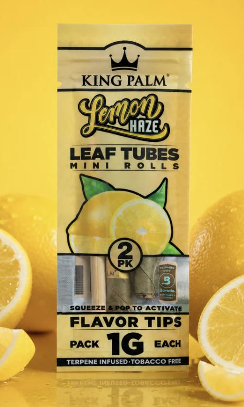 King Palm Mini- Lemon Haze 2ct