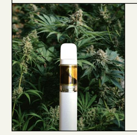 VF Vapes Mimosa Ice 1g