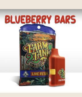 BLUEBERRY BARS
