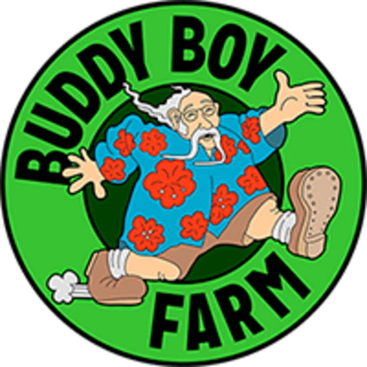 Buddy Boy | Black Water Rosin | 1g at The Bake Shop (George)