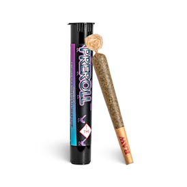 Donny Burger Preroll