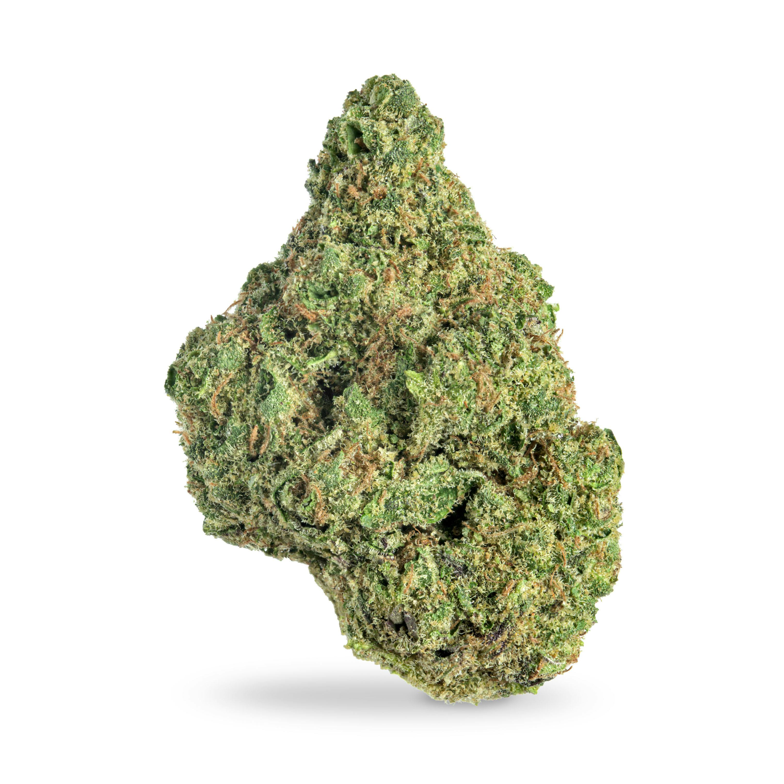Chernobyl (Shake)