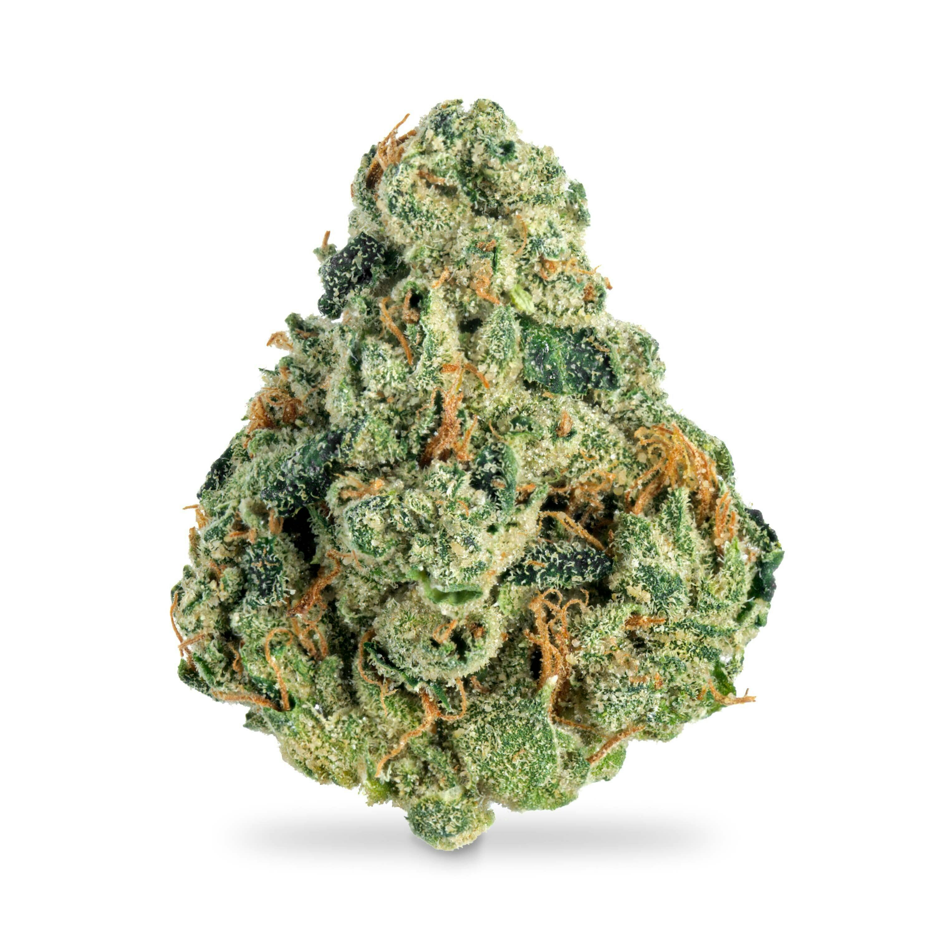 Ghost Og B Buds