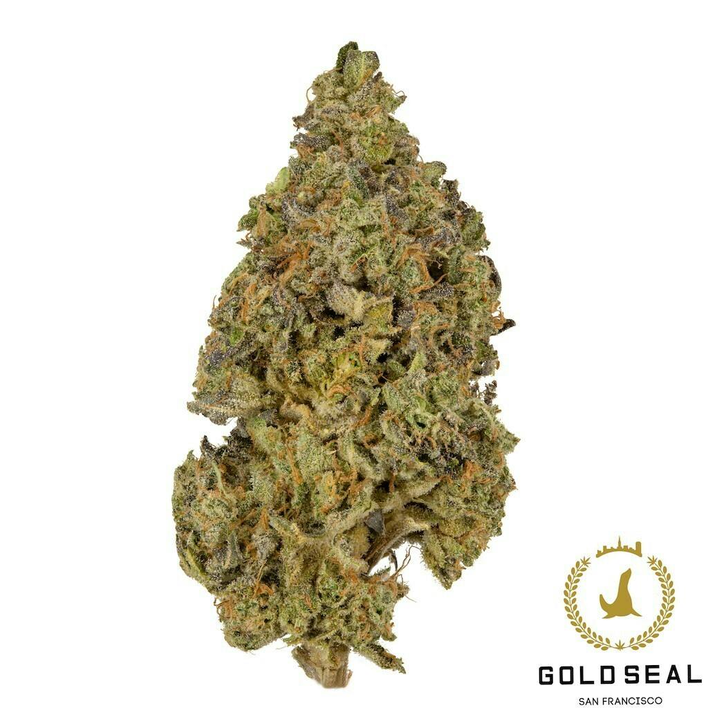 West Coast White Skunk by Fluresh at CHO Stanton