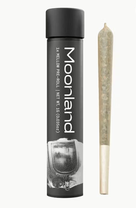 Keylime Jack (SH) | 1g preroll