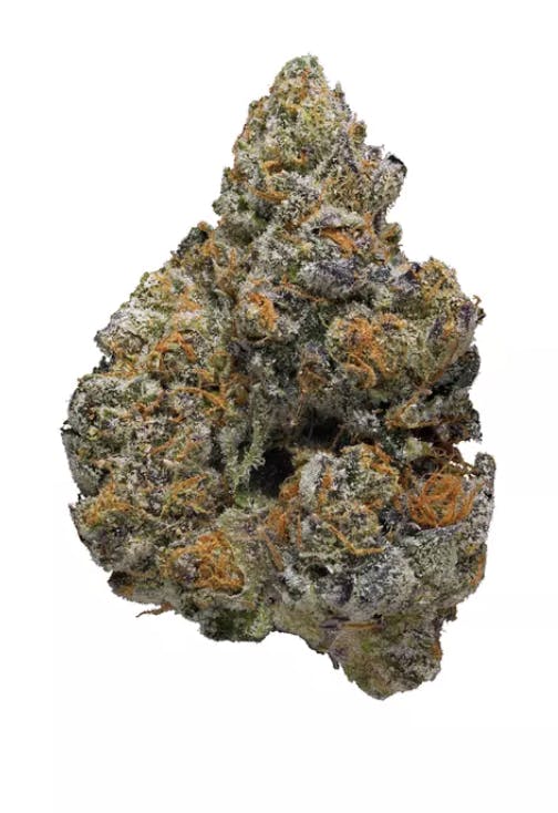 The Grape Void (H) | [5g]