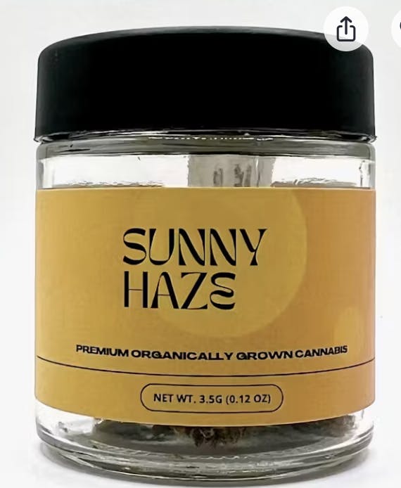 SUNNY HAZE: Brain Freeze OG