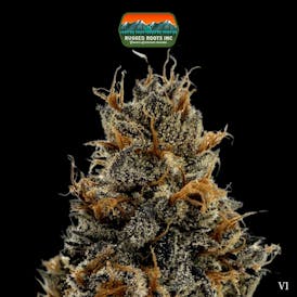 Rugged Roots | Pineapple OG