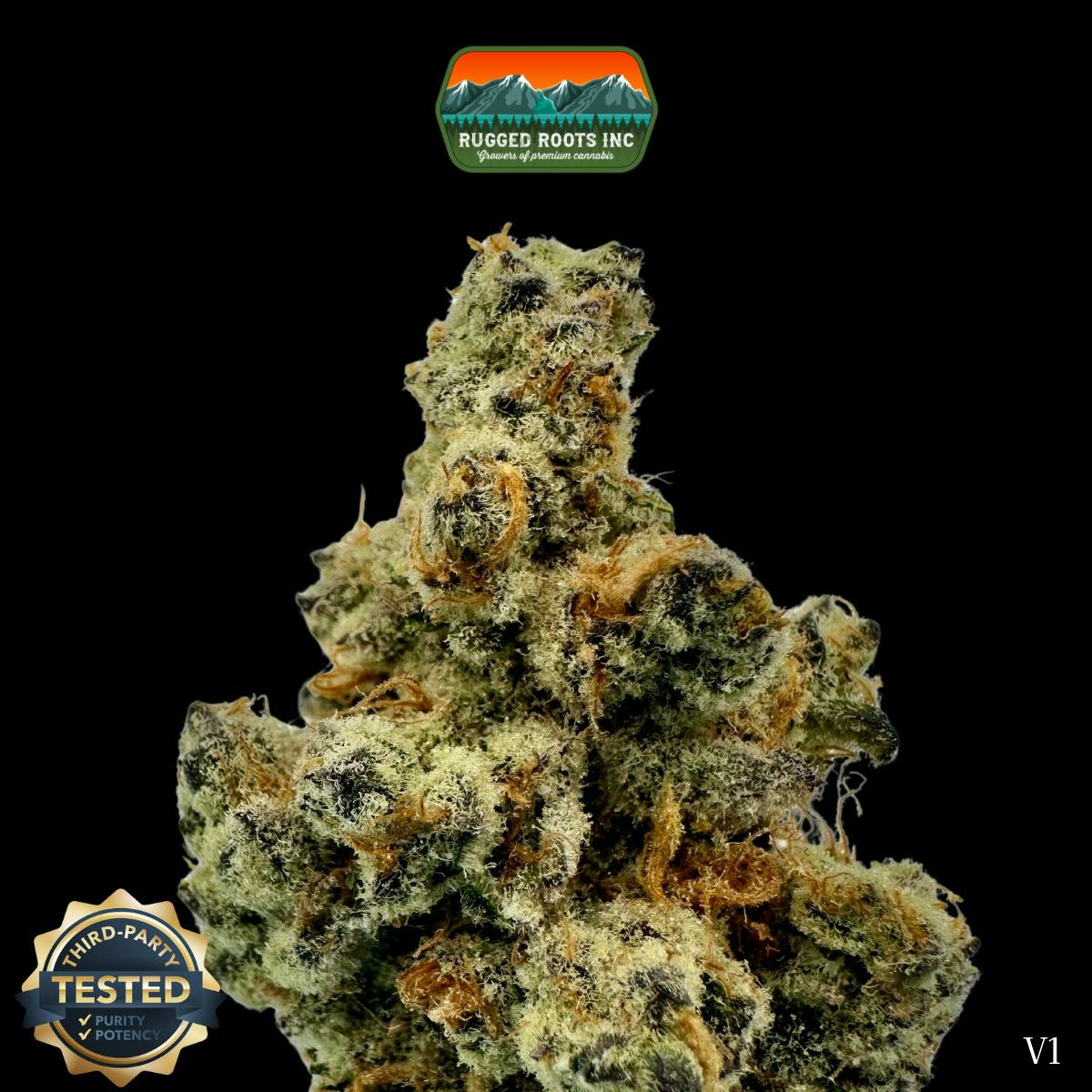 Mendo Breath Dime