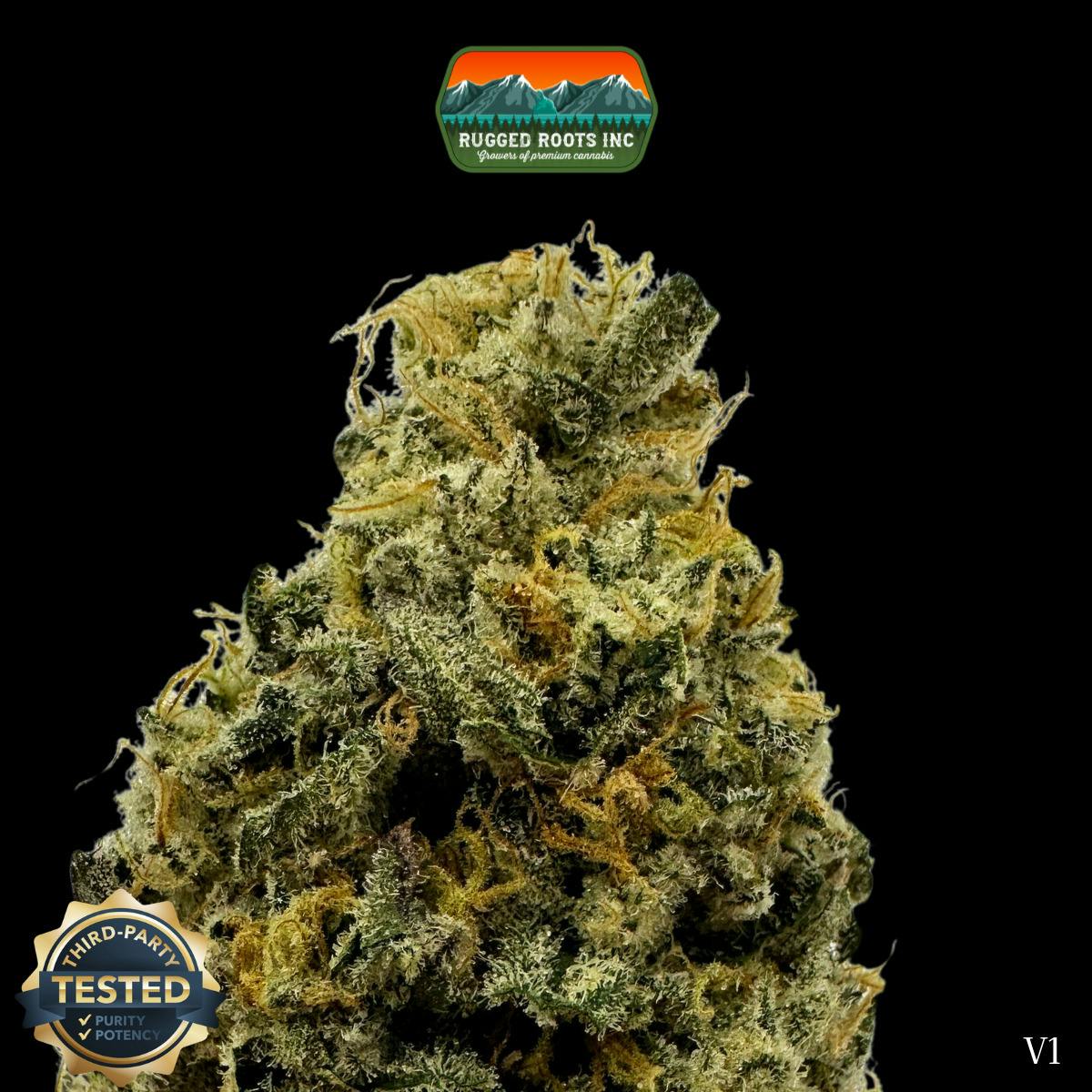 Zest Dime