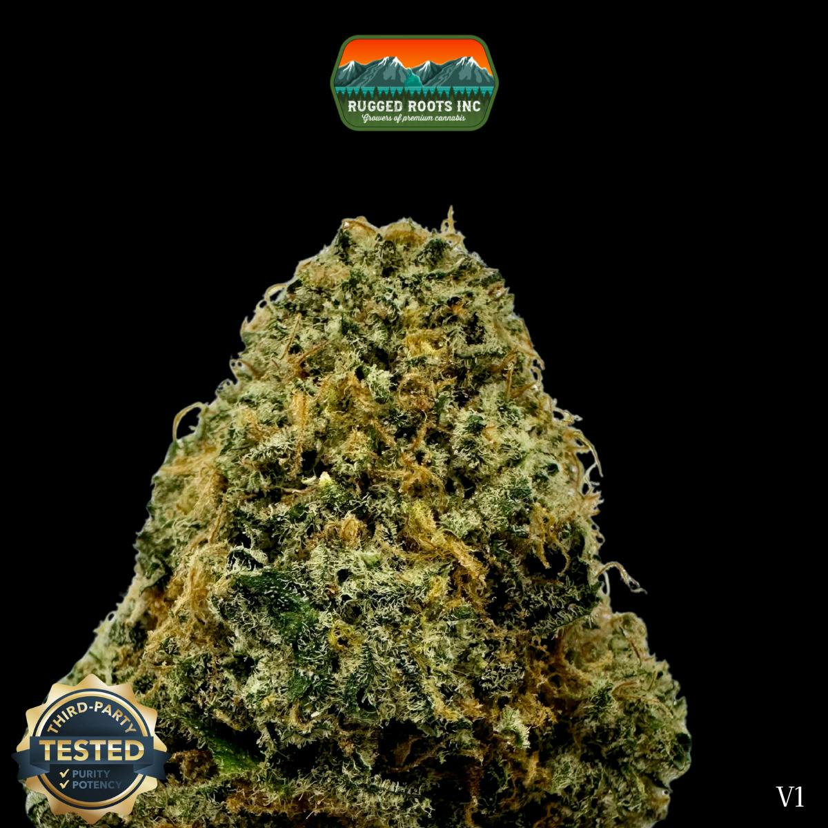 Rugged Roots | Valley Beltz