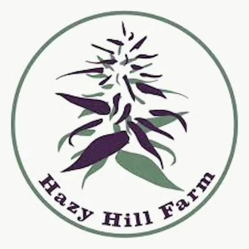 Hazy Hill | Chem D