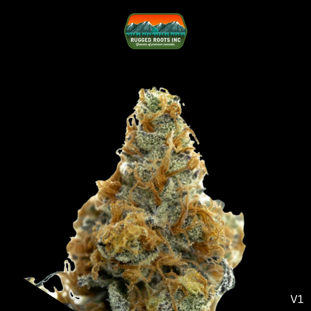 Rugged Roots | Garlic Breath
