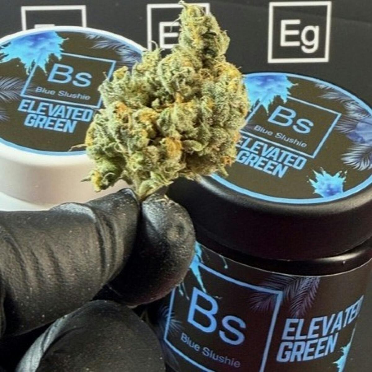 MED Elevated Green | Blue Slushi