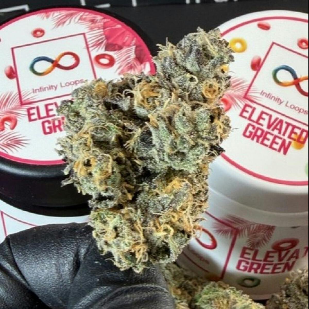 MED Elevated Green | Infinity Loops