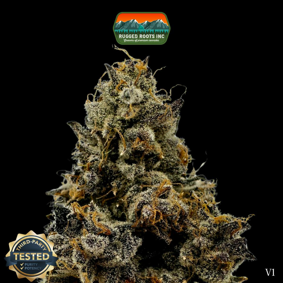 Rugged Roots | Prism Pressure