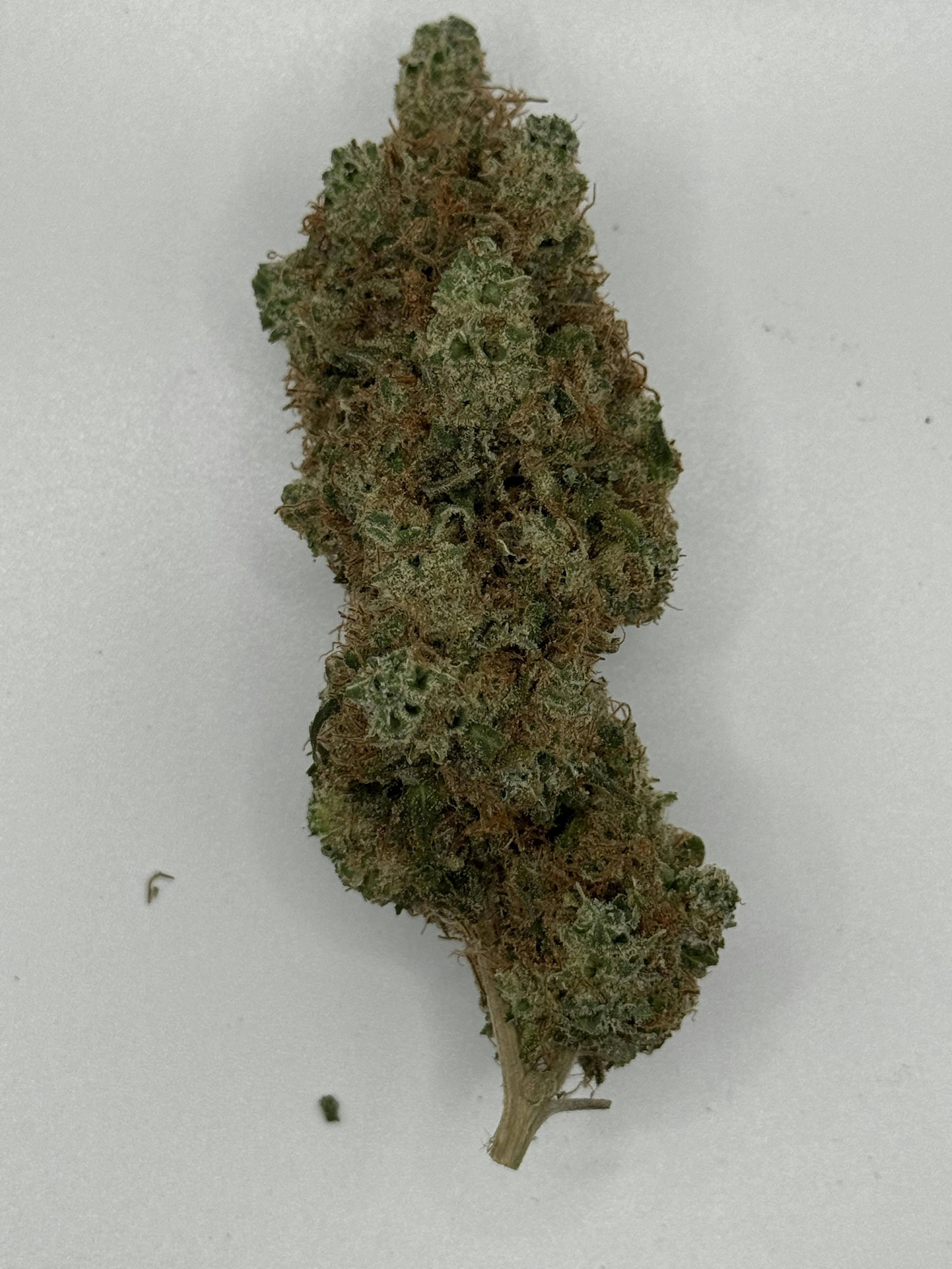 DNG Rollupz #5 Bulk Flower