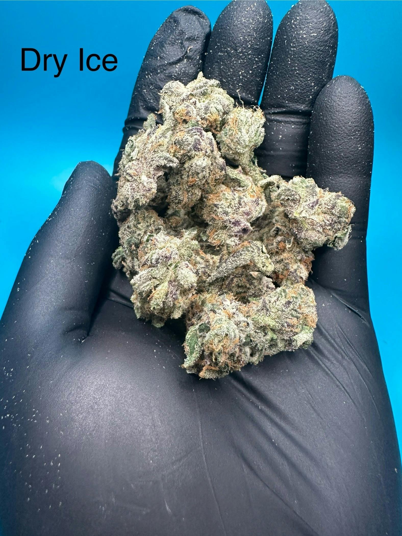 Dry Ice