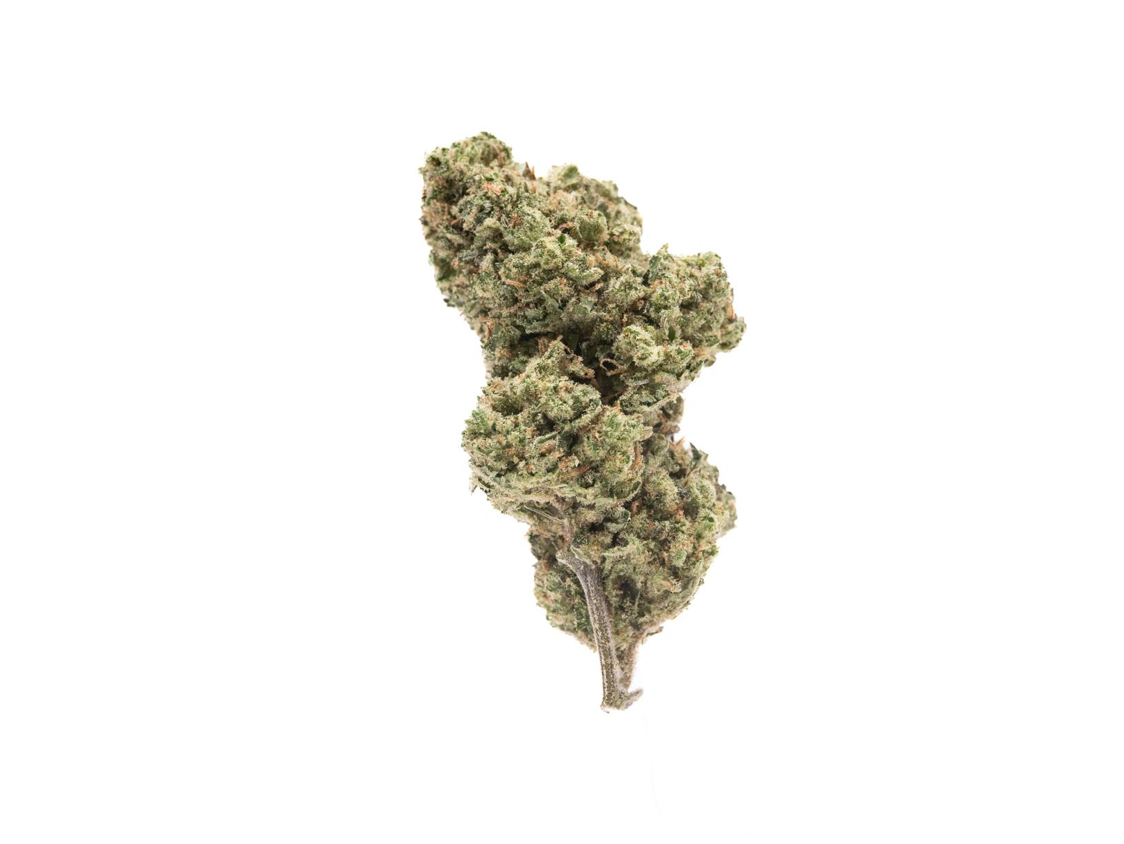 Dankton Farms Rosetta Stone Flower