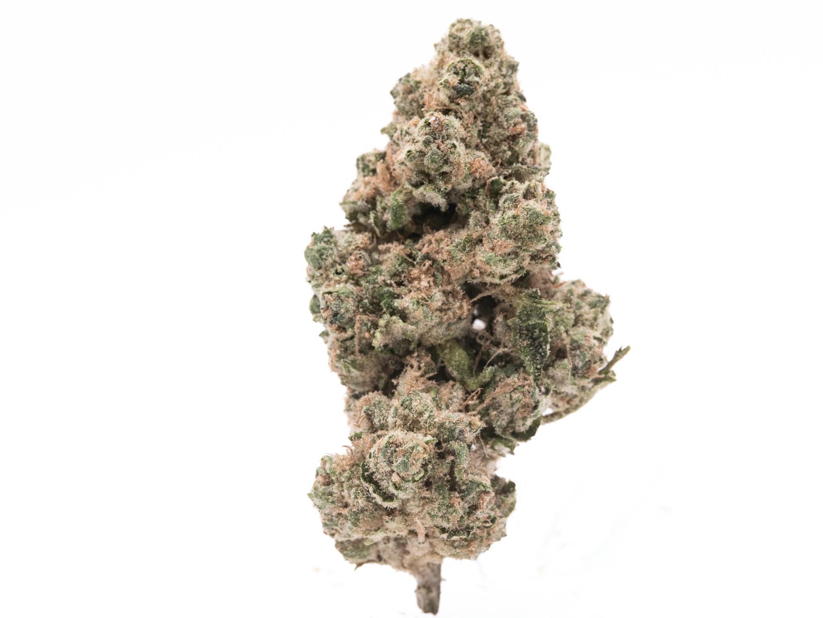 Dankton Farms Trop Runtz Flower