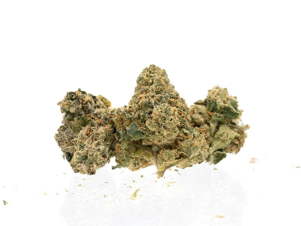 Belushi Farms Gelato #41 Bulk Flower