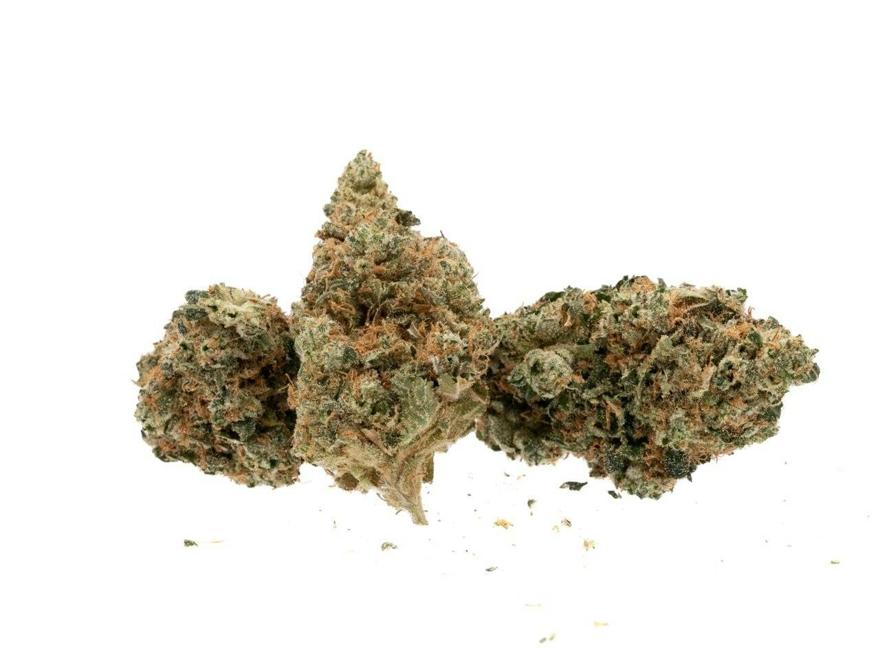 1889 Farms Tre Dawg #95 Bulk Flower