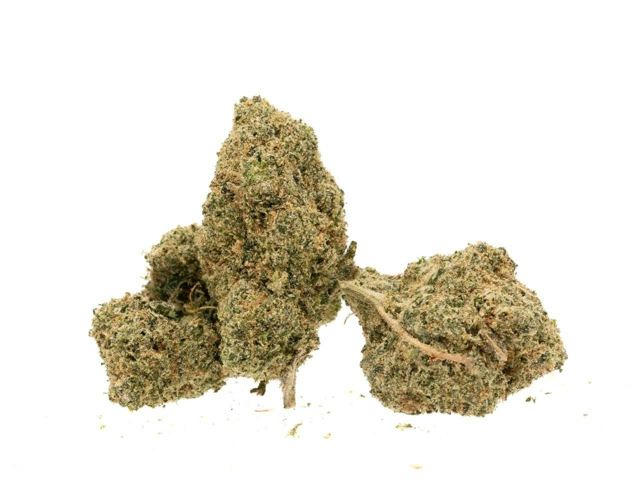 Kindcare Apricot Scone Bulk Flower