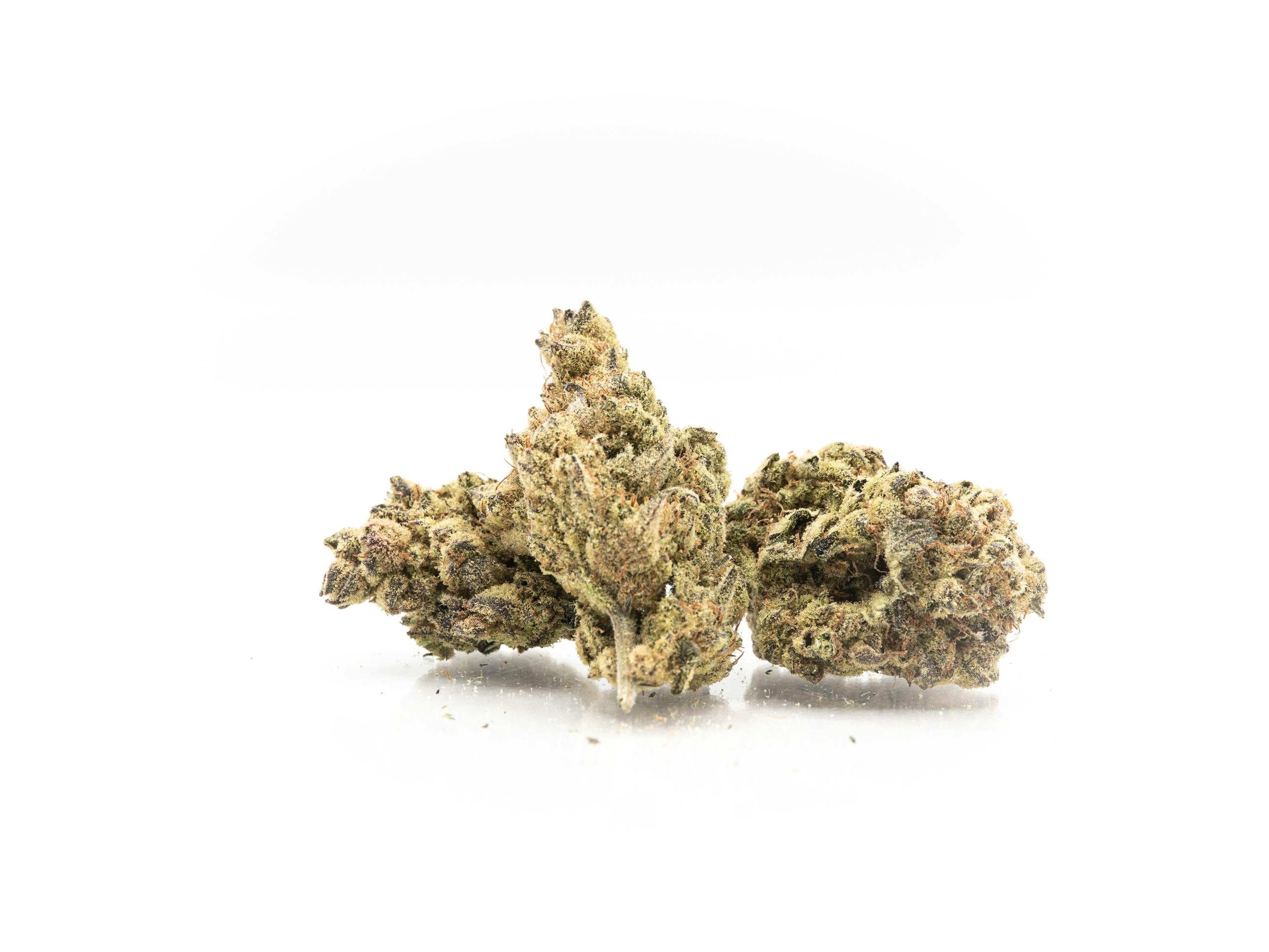 1889 Farms Honey Runtz Bulk Flower
