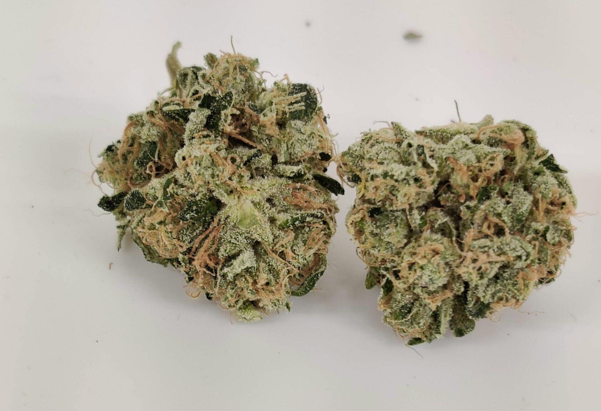 Green Apple Tangie SHAKE (SH) | Deli cannabis product