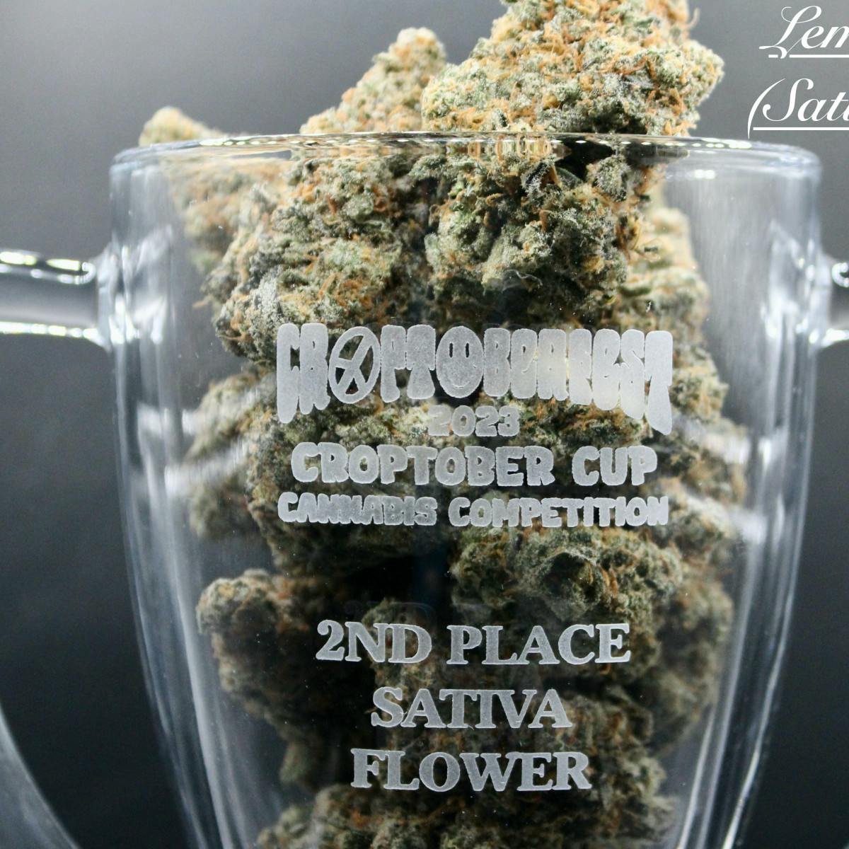 Lemon Zephyr - Flower