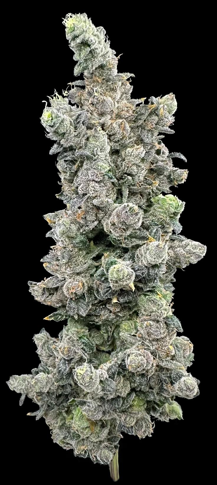 Vanilla Zoap - Flower