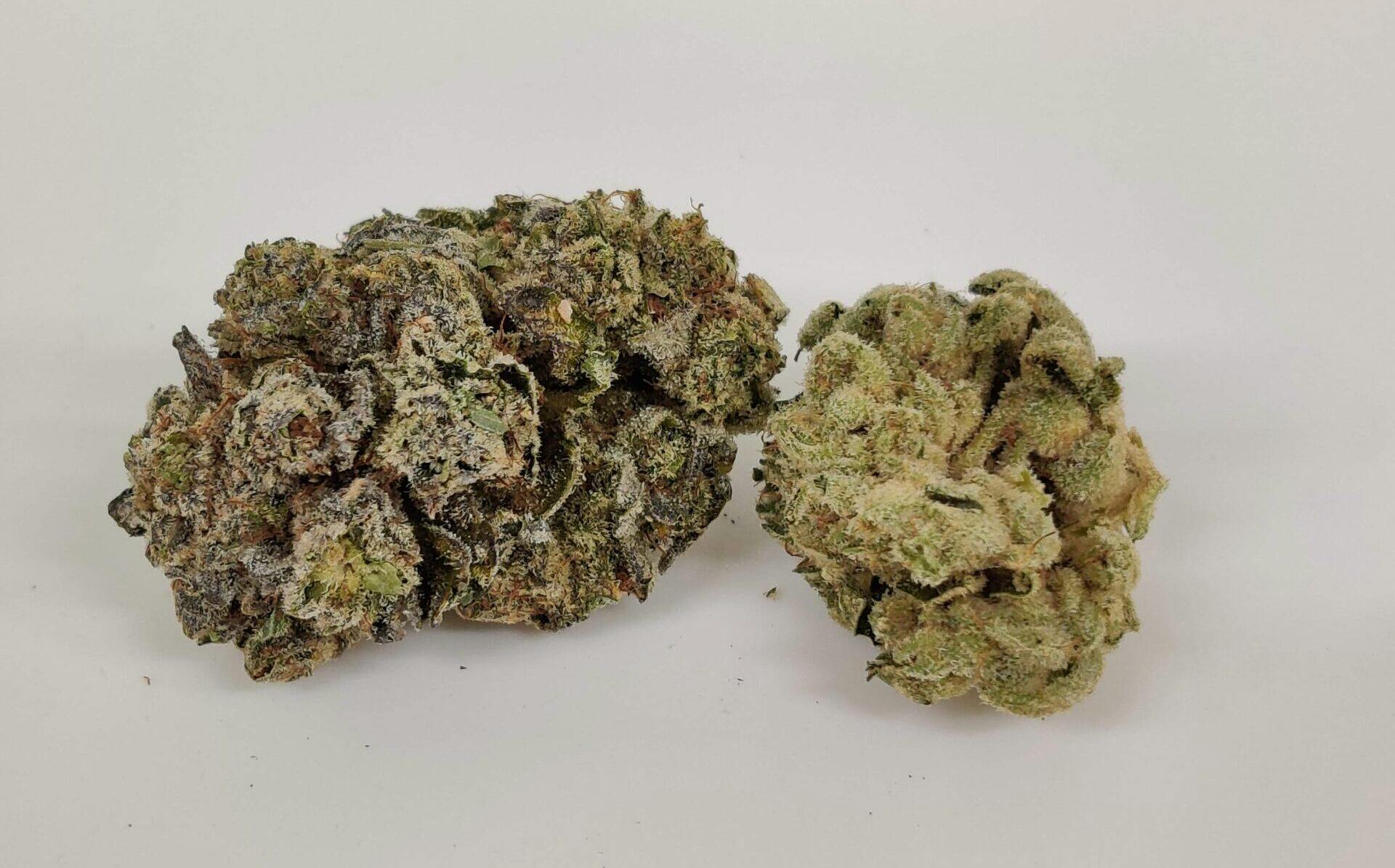 GG#4