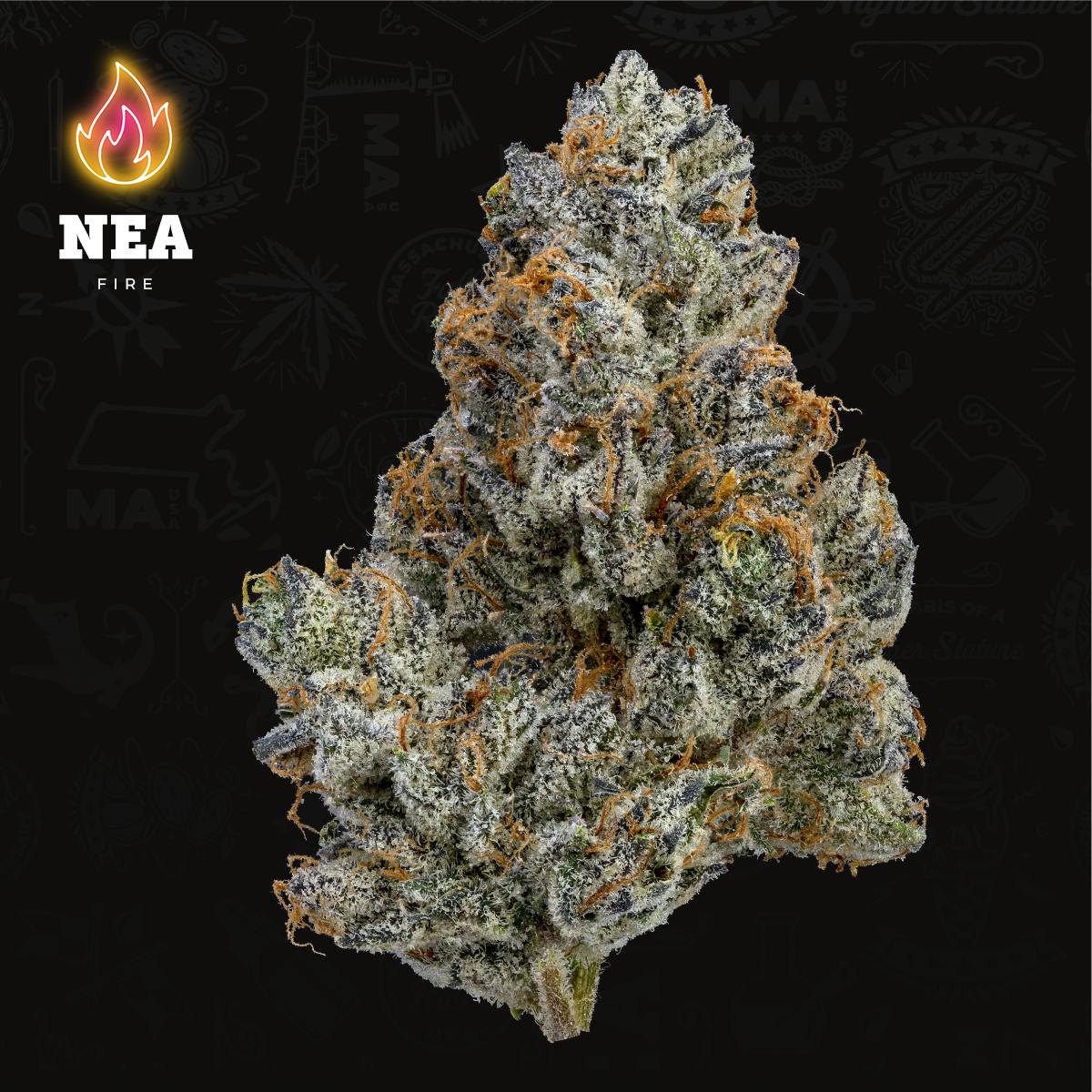 Grease Monkey - Flower