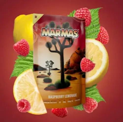 Raspberry Lemonade (20:1 THC:CBD) - Gummies20pk 100mg