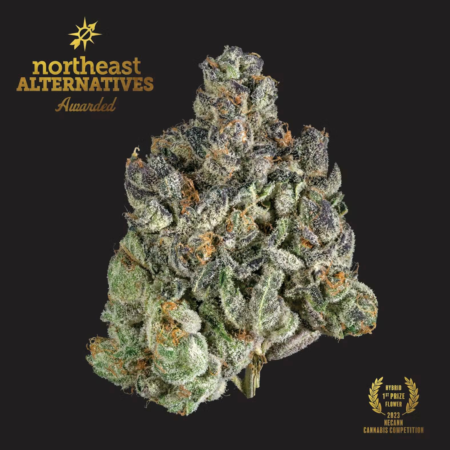 Kine Garlic Cookies NEA Awarded (H) | Deli