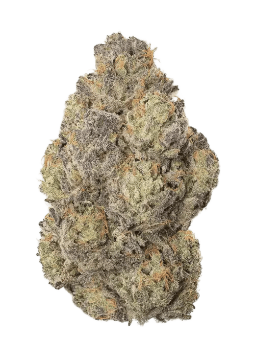 Mexican Haze Sh Deli