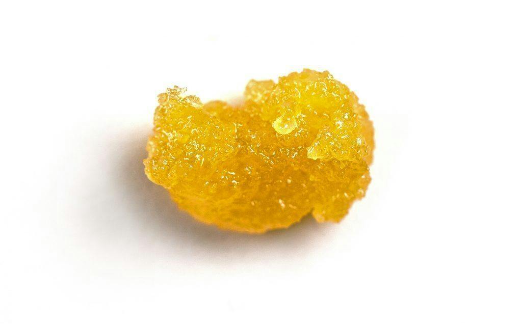 Bold Cultivation Pura Vida Budder 0.5g at Bold Dispensary