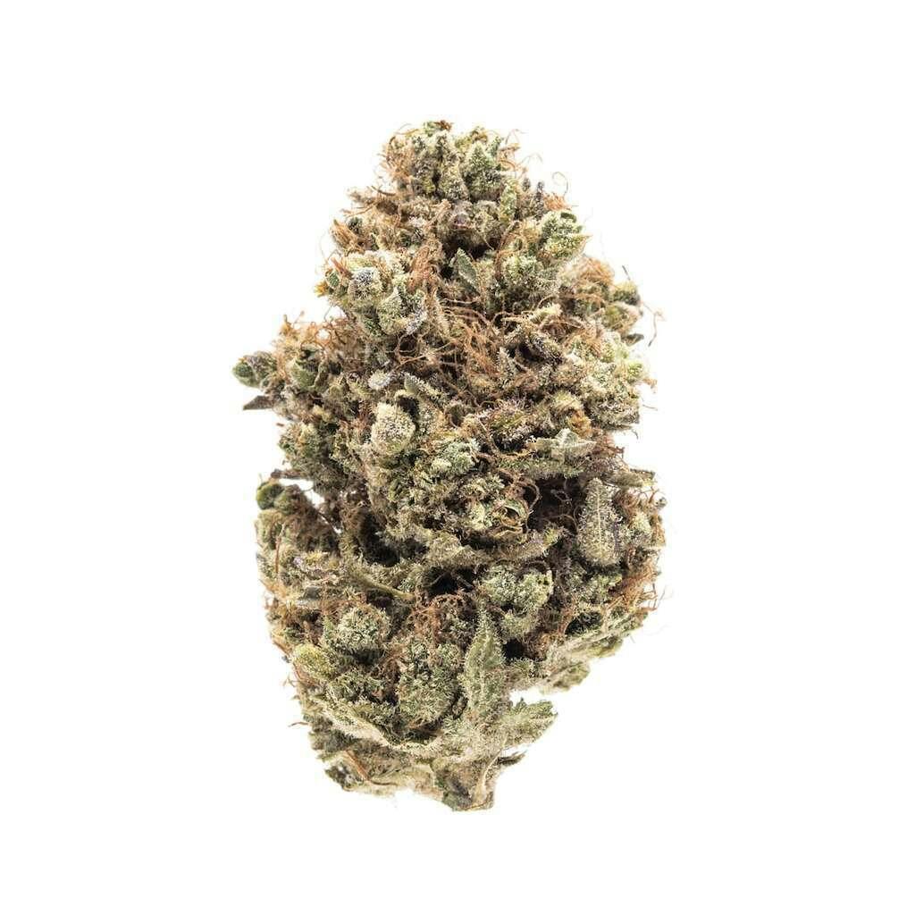 Carpenter Medical Group Fruit Cake Premium Flower 3.5g