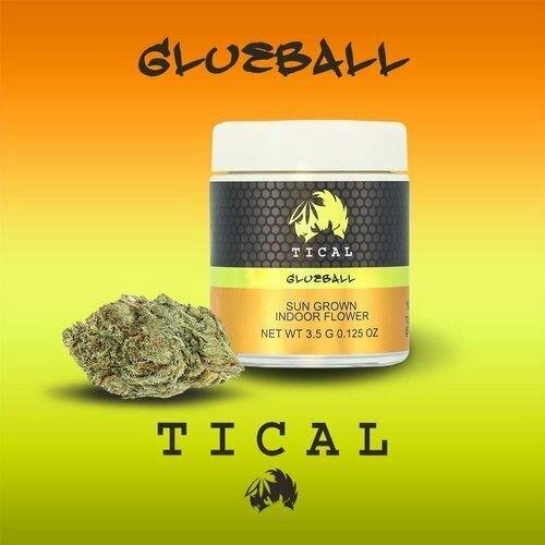 Tical Glueball Premium Flower 28g