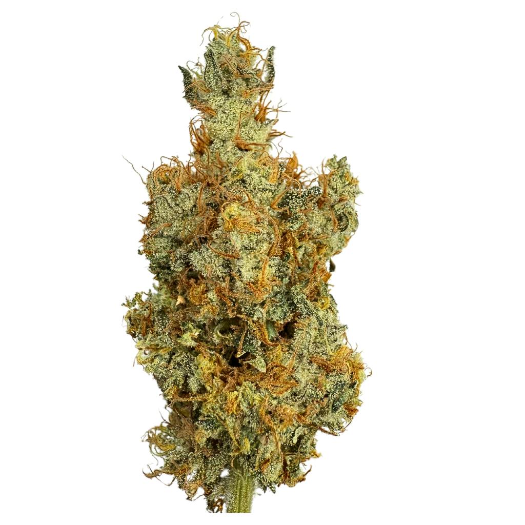 Leafology Southern Skunk Premium Flower 3.5g at Bold Dispensary