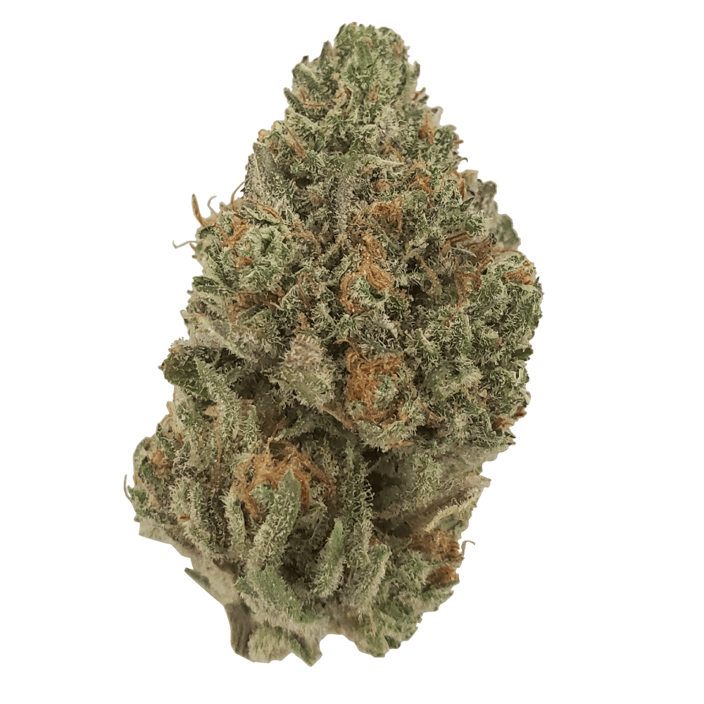 Osage Creek Gasserole Premium Flower 7g