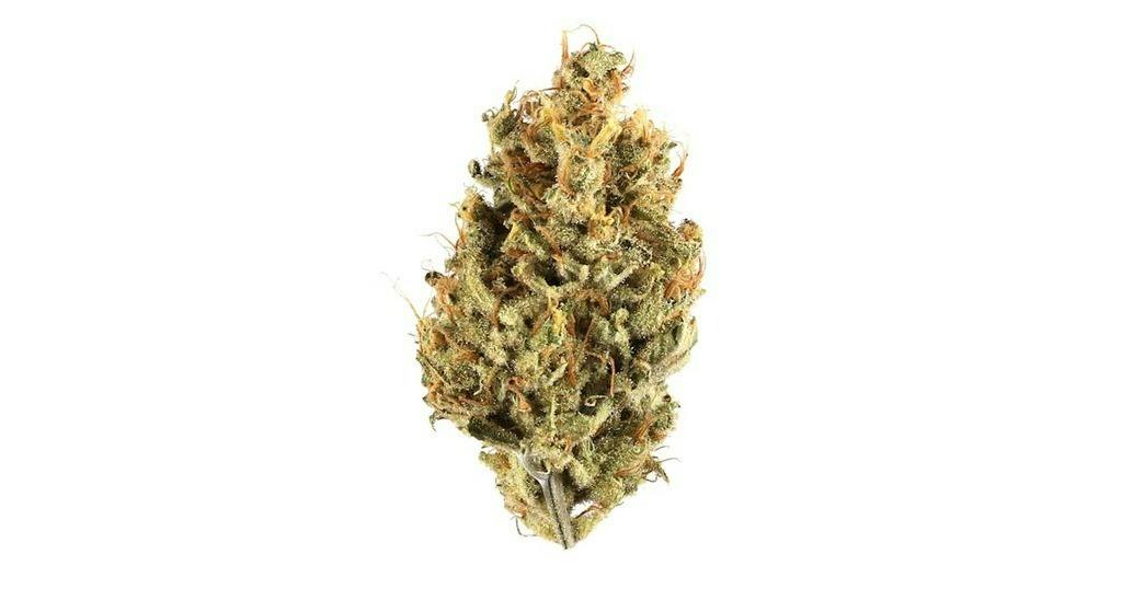 Osage Creek Bombsicle Premium Flower 3.5g
