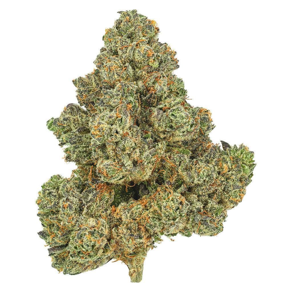 San Rafael '71 - Ponderosa Pine - 3.5g