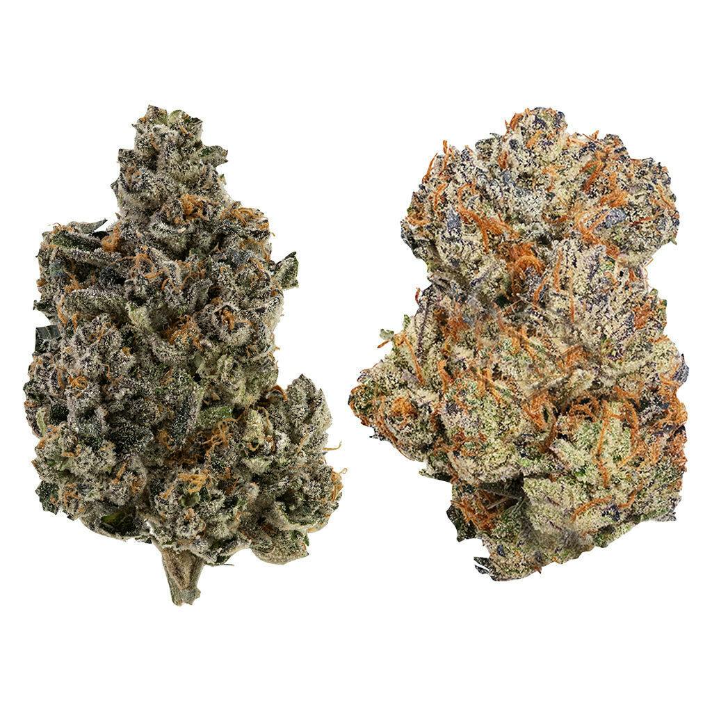 Ghost Drops - Trap Pack 7 - 7g