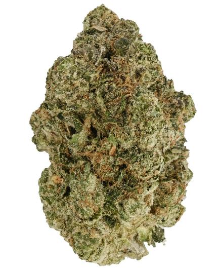 Fire Breath - Back Forty