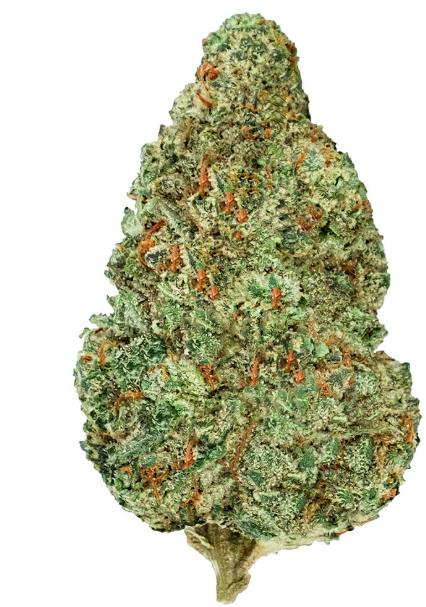 Chemzilla - Back Forty