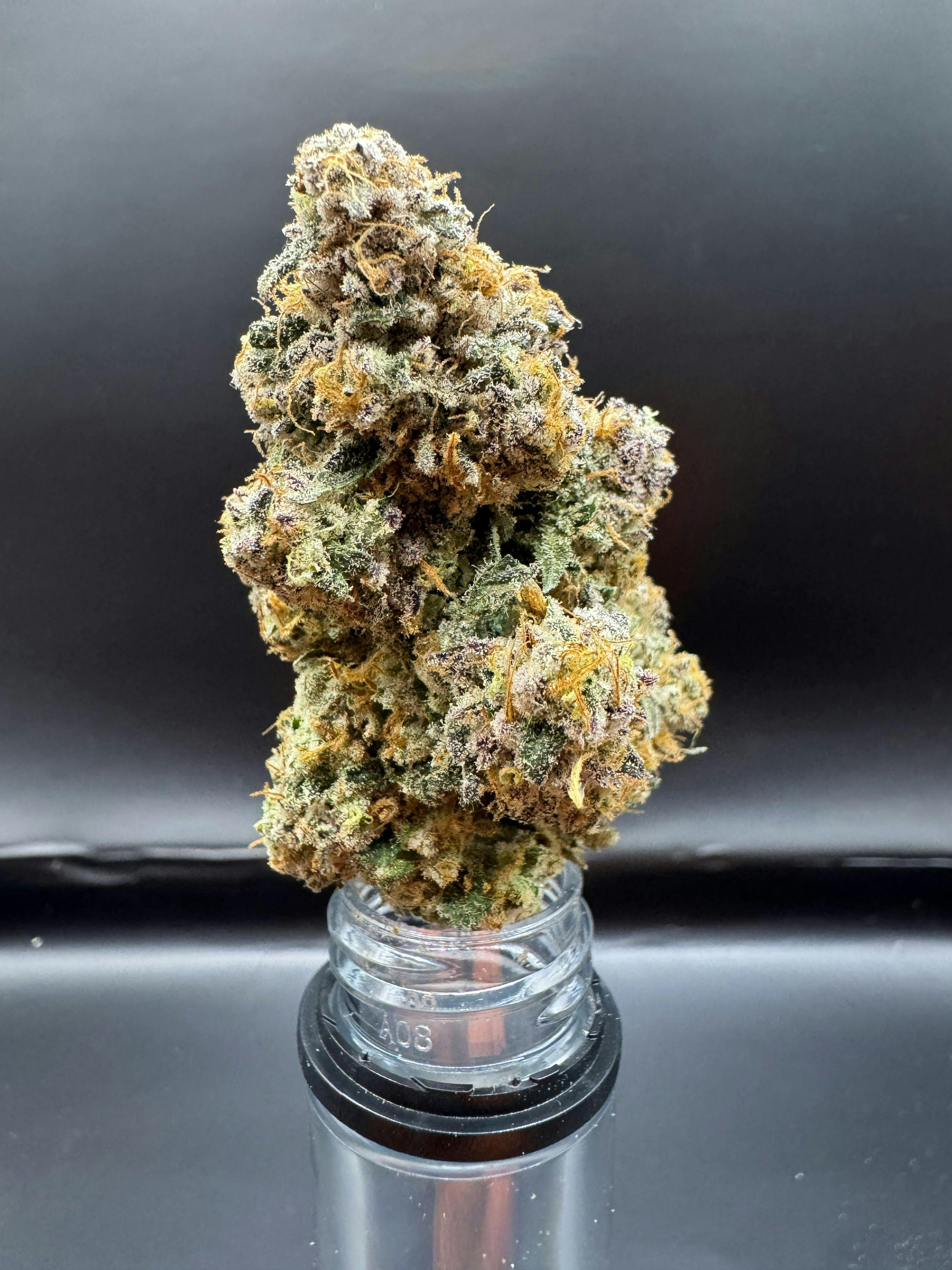 Big Apple | 3.5g (Microgrow)
