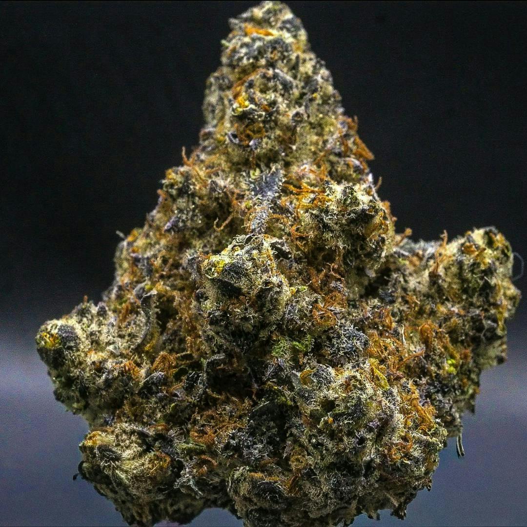Blueberry Blitz (Craft Indoor) | 3.5g | Micro Grower