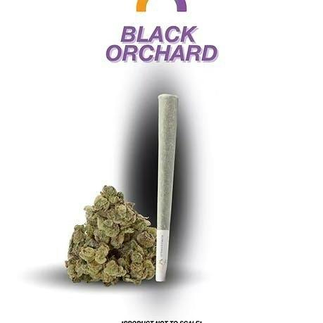 Black Orchard | Pre-roll | 1g