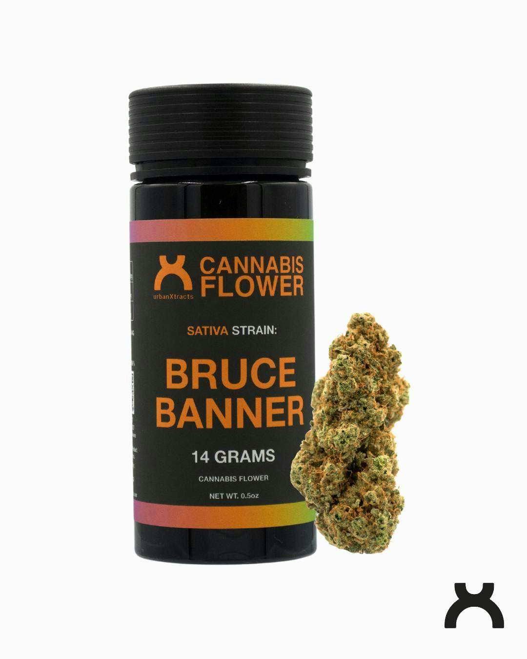 Bruce Banner | 14g
